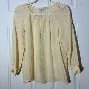 J. Crew Ivory Dotted Swiss Semi-Sheer Long Sleeve Top, Size 6